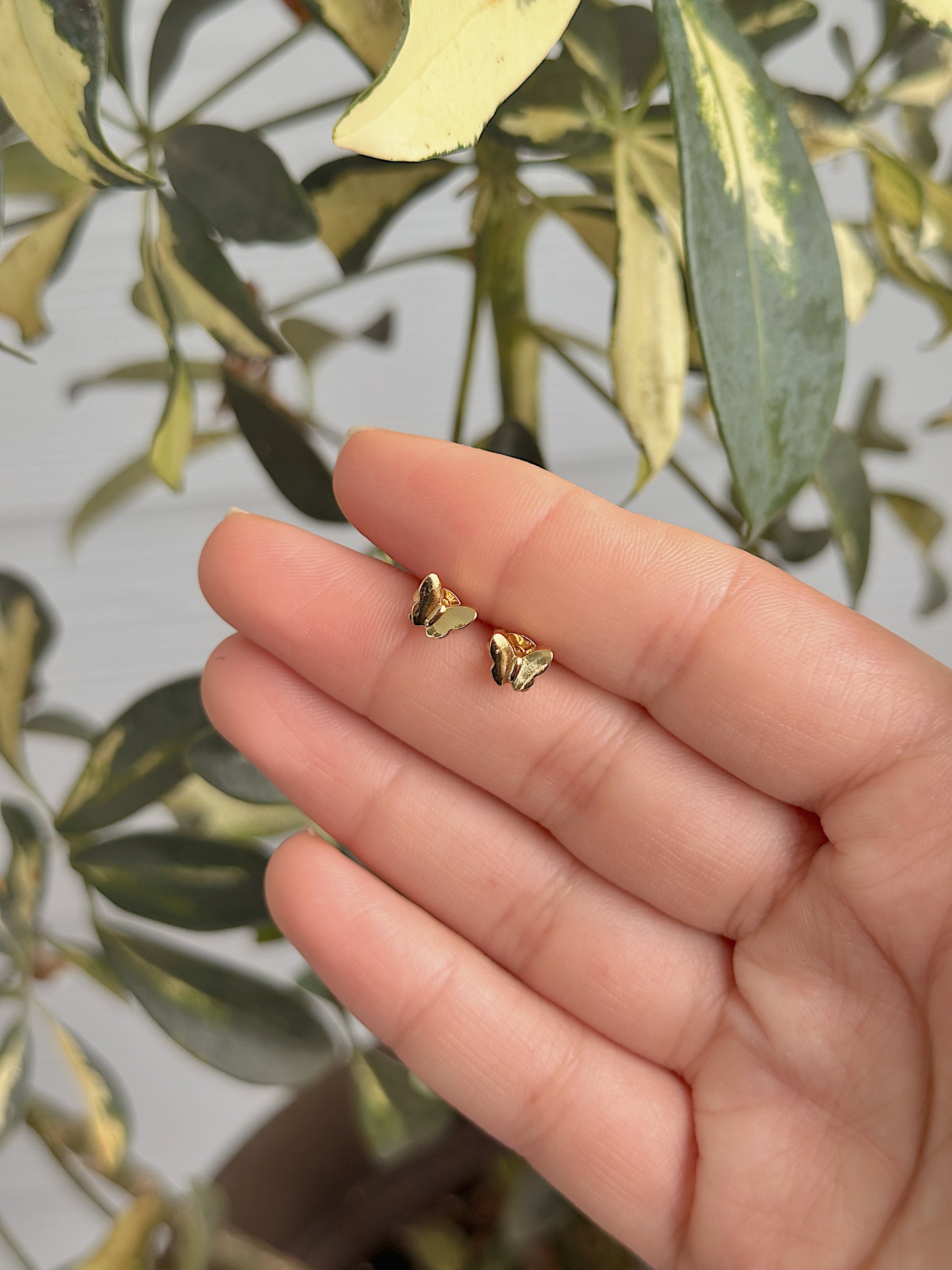 Flutter Stud