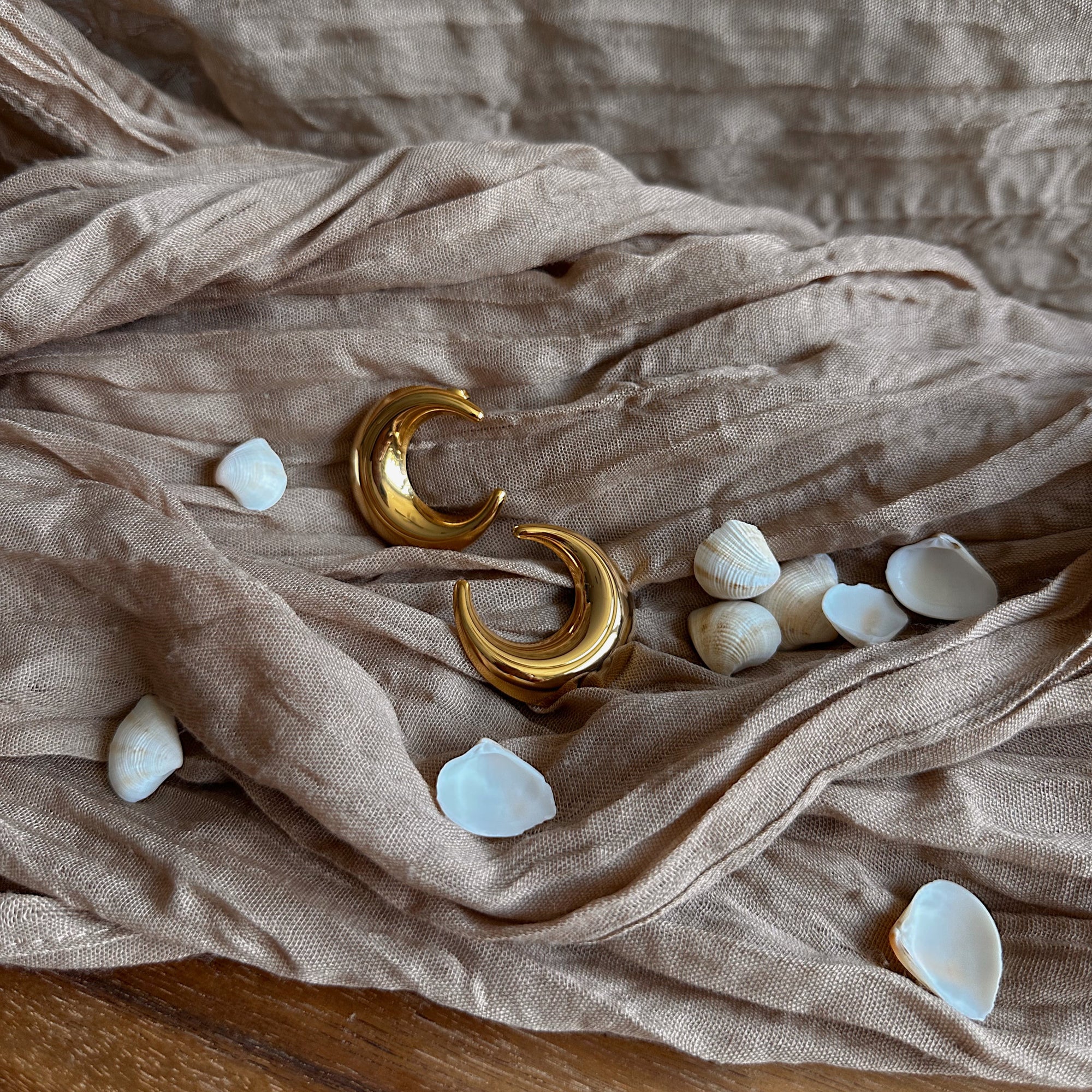 Moon Earrings